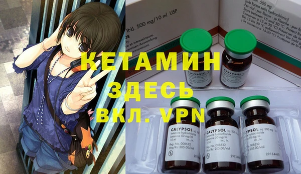 индика Балахна