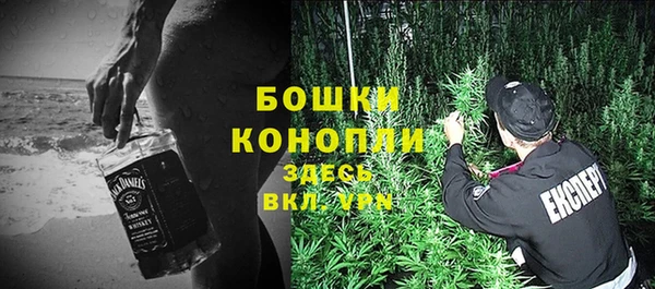 индика Балахна