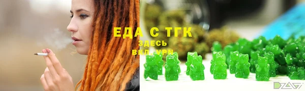 индика Балахна