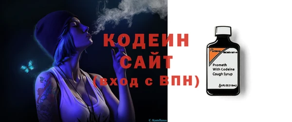 индика Балахна