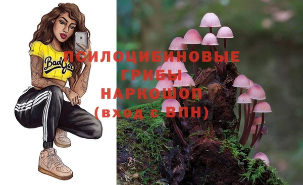 мяу мяу мука Балабаново
