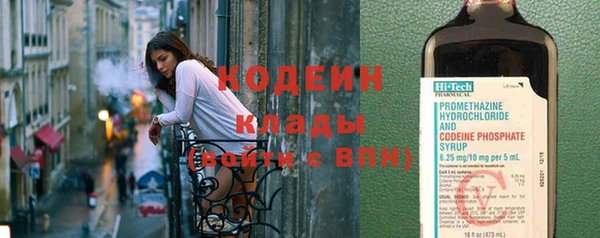 индика Балахна