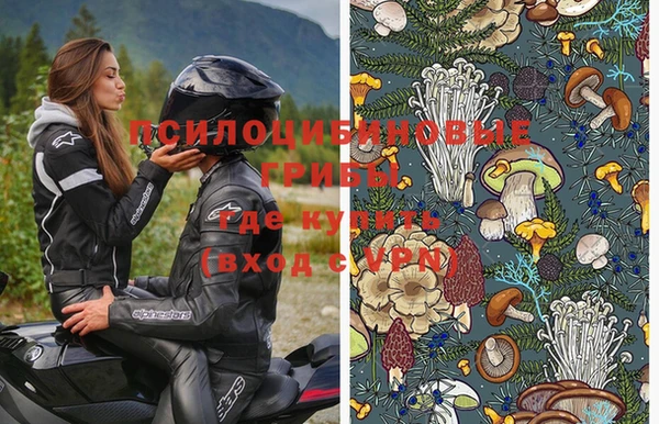 индика Балахна