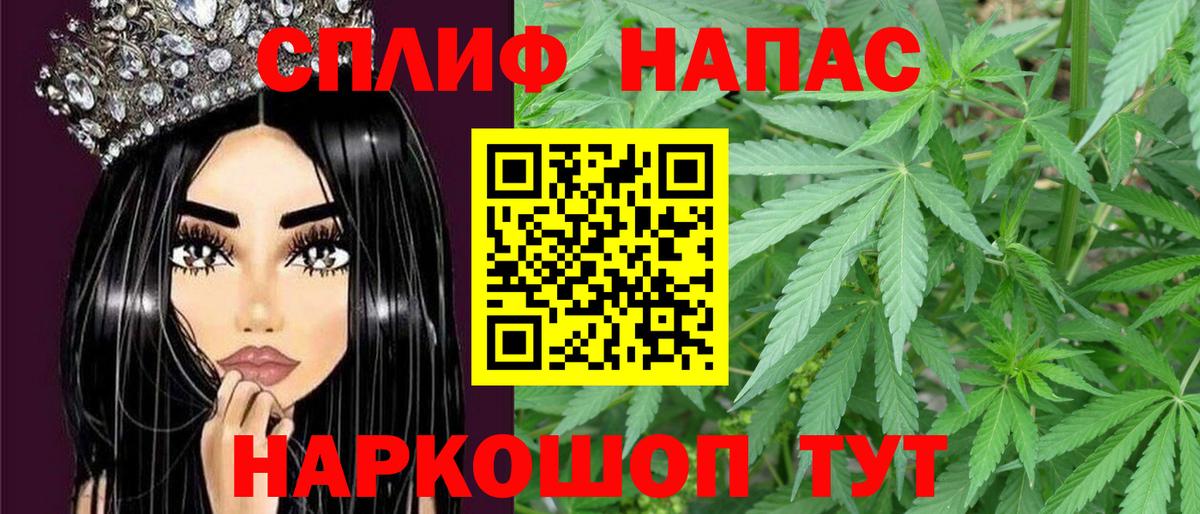 ГАШ Губаха
